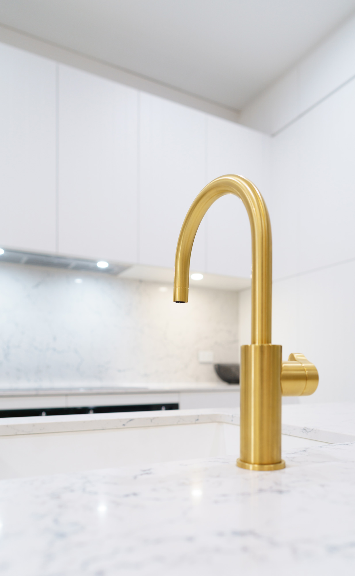 Vilo pull out mixer in bright gold